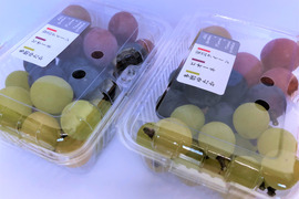 【TUBU-mix-】3種以上のぶどう　1kg　(500gパック×2)