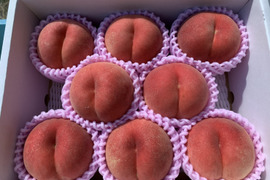 【美月：白桃】 2kg　秀品　9月上中旬