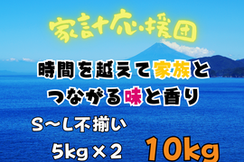 食費削減ネギ！規格外S～２L(10kg)