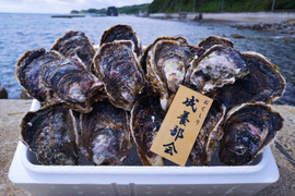 [夏限定！][お試し岩牡蠣！]【北海道唯一の養殖岩牡蠣】北海道奥尻産 厳選岩牡蠣｢奥伎｣(sサイズ10個入り) 焼いてよし！蒸してよし！生でもよし！ 4年もの！北海道でも珍しい養殖岩牡蠣を食べよう！