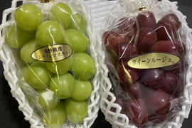 【贈答用】大房シャインマスカット&クイーンルージュ約1.3kg(2房)☆長野県産