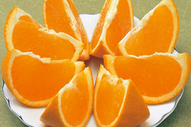 【豊作につきセール】産地直送・わけあり清見タンゴール(10㎏ )　ご自宅用　愛媛県産