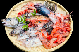 5月先行販売【ガチャ！】何が入っているかわからないおかず１セット