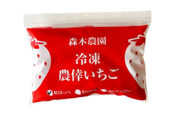 【静岡県産 土耕栽培】濃く甘 冷凍いちご〈紅ほっぺ〉 １ｋｇ　使い切りやすい500gｘ2袋