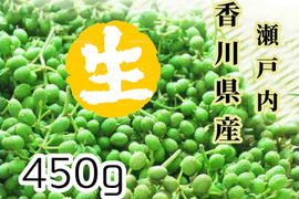 【生】2024年度野ぶどう（うまぶどう）果実450g★レシピ・サンプル・うまぶどう茶付き★フルーツ酵素や果実酒にも♪
