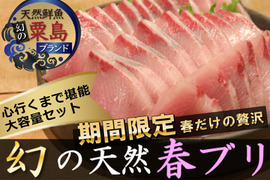 【刺身カット無料サービス中】心行くまで味わい尽くす日本海ブランド"天然国産天然国産春ブリ🐟刺身＆ぶりしゃぶ用大容量キャンペーン約700g【3月上中旬予約】