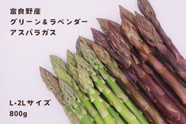 【食べ比べ】富良野産グリーン&ラベンダーアスパラガス（L・2L  800g）