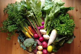 季節の無農薬野菜セット“2020冬”【8~10品目】80（Ｍ）サイズ+ドレッシング&黒豆セット