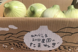 シーズン最終！感謝価格！【淡路島  和田農園】淡路島新玉ねぎ　5kgM〜LLサイズ