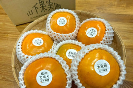 大満足！太秋柿・紀州てまり・たねなし柿 ３種食べ比べ【和歌山県産】