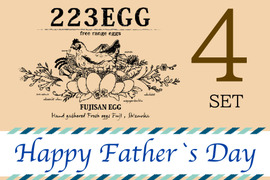 平飼い卵 父の日ギフト 【4パックセット】223EGG たまご