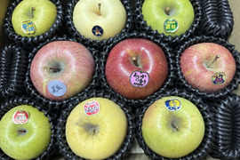 リンゴノトリコ　約3kg箱　9玉詰め