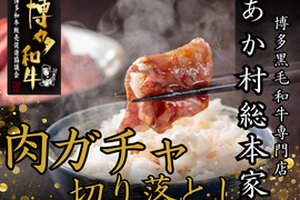 【連休の焼肉はこれ一択】数種類の部位が入った“肉ガチャ”赤字覚悟のお得セットあか村黒毛和牛ブランド切り落とし食べ比べ約300g☆焼肉・BBQ【家庭用・贈り物・バーベキュー】【ゴールデンウイーク予約】