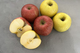 《ふじ×シナノゴールド》家庭用 5kg×2箱