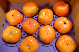 早生（わせ）柿の代表「早秋」１０個から１２個入り３.０㎏以上