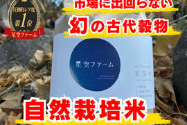 【市場にほぼ出回らない】家族子どもの健康を守る毎日の保険☆奇跡の自然栽培ブランド米🍙【農薬不使用】【化学肥料不使用】【除草剤不使用】2026年新米約2㎏🌾【10袋限定】【11月下旬予約】