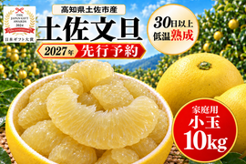 土佐文旦 小玉10kg 家庭用｜一人1玉食べ切り｜約22～27玉｜発祥の地・高知県土佐市産｜30日以上低温熟成｜日本ギフト大賞受賞｜柑橘・果物のお取り寄せ｜2027年先行予約｜やの一果彩