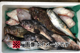 未利用魚ボックス 5kg前後 【知床羅臼直送】(鮮魚ボックス梅コース)