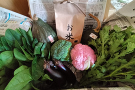 お米と新鮮野菜セットA（米2kg、５種類以上）