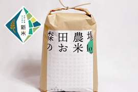 【令和7年産新米】但馬のお米(10kg) ご注文いただいてから精米します！森田農場 コシヒカリ
