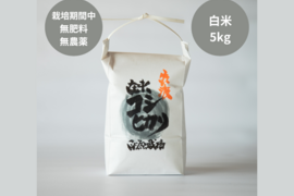 【予約商品】【令和7年産】潮風香る田んぼでトキと育った新潟県佐渡産 自然栽培『在来コシヒカリ』 白米5kg
