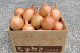 《お買い得》【淡路島産】お子様にも人気のひと口サイズ 完熟玉ねぎ 3kg