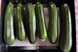 ズッキーニ　群馬県東吾妻町産　訳あり　1kg
