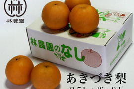 あきづき梨(家庭用） 約2.5kg(6〜8玉)