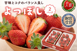 2パック｜甘味とコクのバランス良し！鮮やかな赤色いちごのよつぼし500g