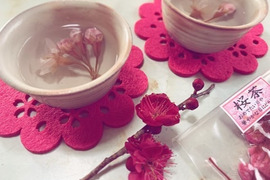 【農薬不使用】桜の塩漬け・4袋《農薬・化学肥料・着色料不使用》