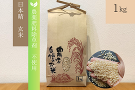 《農薬不使用・肥料除草剤不使用》お日さまたっぷりのお米『日本晴』【玄米】1kg・2025年和歌山県産