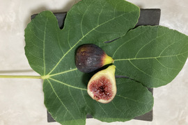 樹上完熟いちじく　ロードス　2パック
【栽培期間中農薬.化学肥料不使用】