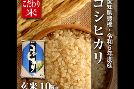 【節減対象農薬6割減】コシヒカリ 玄米10g【令和5年・愛知県産】