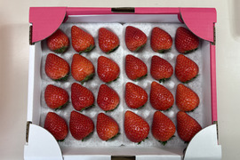 【摘みたて直送】とちあいか1箱（１２粒×2シート）