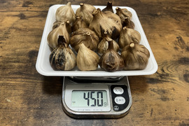 33 自然栽培　黒にんにく 人気　サイズいろいろたっぷり16個　令和4年度新物　食べやすくて美味しい