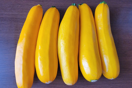 サラダでも食べられる大きなズッキーニ「黄」約2kg（5~6本）