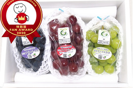 皮ごと美味しいぶどう3色3房ギフト・クイーンルージュ460gバージョン
(380g以上×3房合計1.3kg)※信州の環境にやさしい農産物（長野県認証）食べ比べ