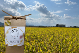 ✨令和７年産✨ﾌﾟﾚﾐｱﾑｸｵﾘﾃｨ認定10㎏｢ひめの凜｣一等米【玄米】