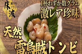 【激レア珍味部位】🦑天然国産カミナリイカ『口先(トンビ)』長州床波ブランド海鮮部位指定キャンペーン数量限定☆お試し約100g【6月上旬予約】