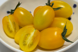 【とまほっぺ】黄色アイコトマト 1kg｜愛媛・久万高原直送