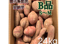 【絶品】種子島産安納芋 B品 小〜中サイズ 24kg(箱別)