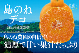 島のね デコ【愛媛みかん/木成り完熟/サイズ混合/3.5kg】