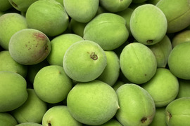 【お買い得】サイズいろいろ！ご家庭用「青梅 ２Kg」