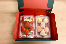 ギフトBOX入り贈答用『紅白セット』フレーズのこだわりいちご1箱550g
