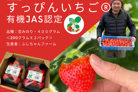 【食べチョクいちご博2024 金賞】有機JAS認定　茨城県産有機いちご（恋みのり　200gｘ2パック）