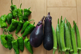 ✨カボチャ約1.5㎏と旬のお野菜セット✨