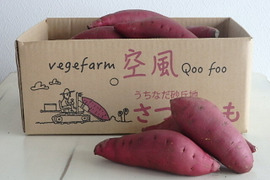 ねっとりとした食感と濃厚な甘さのさつまいも　ポッテリーナ(Ｍサイズ　４.５kg)