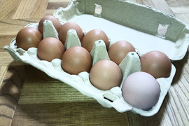 【えひめ・しまなみの島たまご】瀬戸内よりお届け！平飼い卵　ご家庭用６０個【１パック１０個×６】広々とした鶏舎で暮らしているニワトリの育むたまごです！