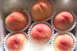 【節減対象農薬：不使用】お日様たっぷり完熟桃2kg(贈答用・2kg)