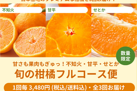 甘平の通販｜その他柑橘｜食べチョク｜産地直送(産直)お取り寄せ